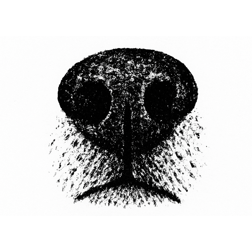 ジャーキーの低温乾燥について