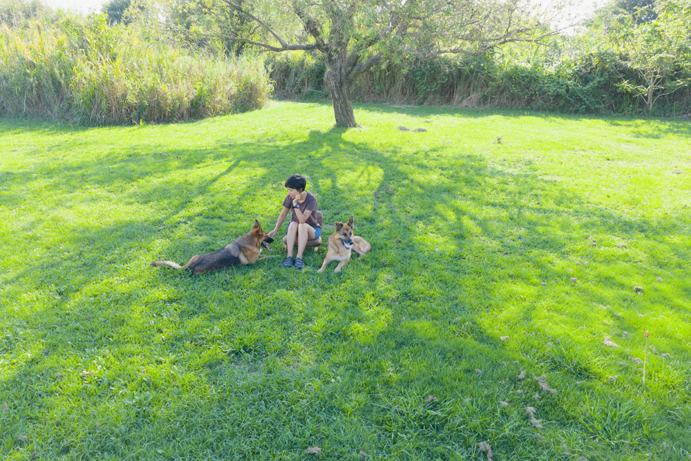 私の大切な家族の愛犬