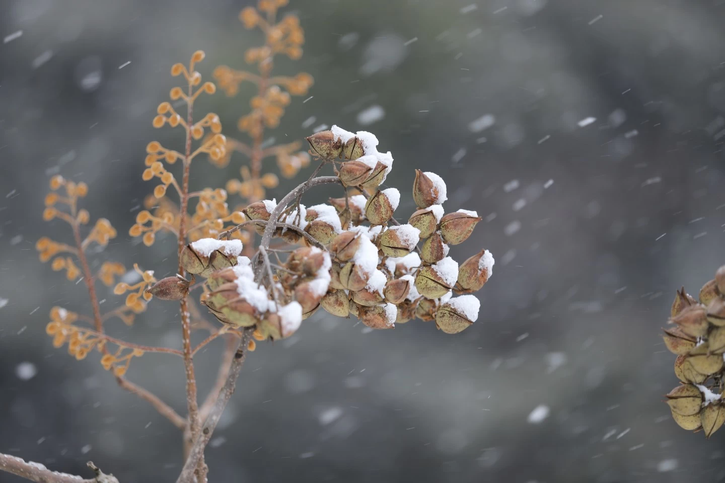 森町の雪景色